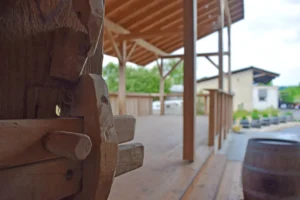 dance-factory-ghmb-laufen-terrasse-002-tanzschule